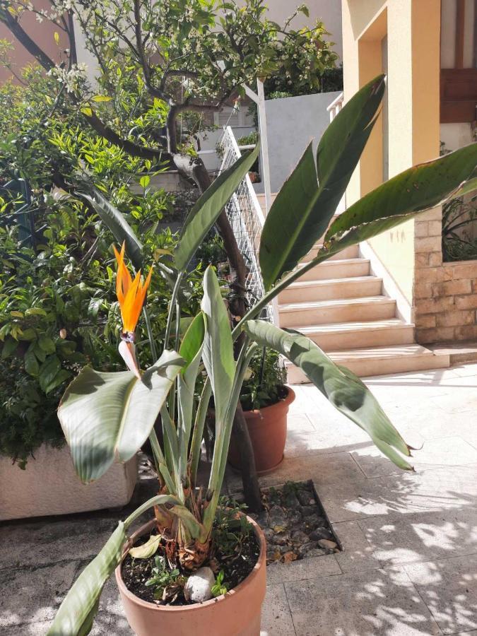 Apartment D&M1 Makarska Exterior photo